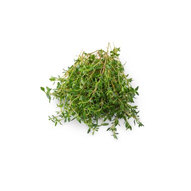 beyaz zemin üzerine kekik