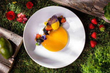 Sorbet with marshmallow, strawberries, lace chips, mint, flower petals, hazelnuts and golden sprinkles in a plate on green grass with rosebuds, strawberries, green peas and mango sprouts
