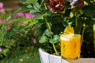 Buzlu kokteyl, kurutulmuş ananas ve köpüklü saksı.