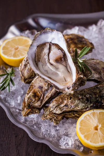 Taze istiridyeler sığ buzun üzerinde yatar, yanında limon dilimleri ve biberiye filizleri vardır, bir istiridye açıktır. Buz ve yiyecek, kabuk şeklinde metal bir kabuktadır. Şekil ahşap bir arka planda duruyor..