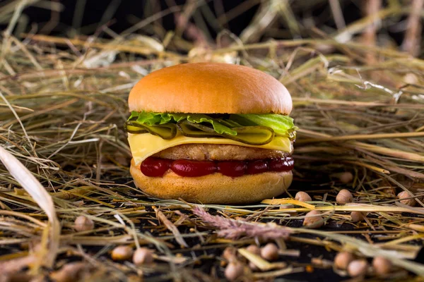 Mini burger with bun, cutlet, pickled cucumbers, salad, cheese and ketchup on the table with chickpeas and hay on a black background. Horizontal orientation