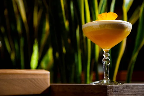 Cocktail Met Sinaasappelsap Schuim Bloemblaadjes Een Doos Met Dauw — Stockfoto