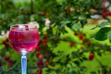 Yeşil alanların arka planında buzlu ve üzümlü kokteyl.