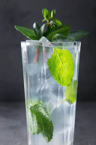 Cocktail Ice Mint Glass Stands Concrete Table — Stockfoto