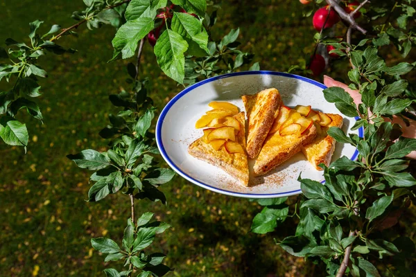 Fried toast with sweet apples and peaches on a plate that hangs on twigs against a background of green grass