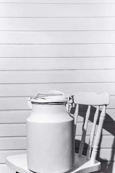 White can on a white chair against the background of a white wood wall
