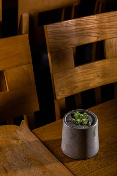 Moss in a pot standing on a table with chairs