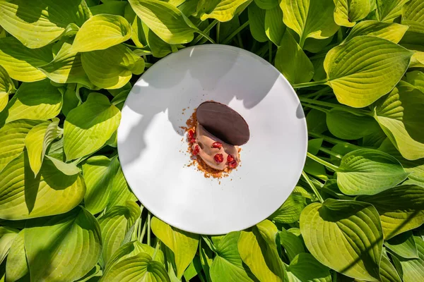 Chocolate ice cream with cranberries. A scoop of chocolate ice cream, on a bed of corn flakes and topped with cranberries in liqueur. Nearby is a large chocolate medal. Ice cream lies in a light, round, ceramic plate with wide sides. The plate stands