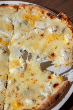 Pizza with different types of cheese and basil in a plate on the table