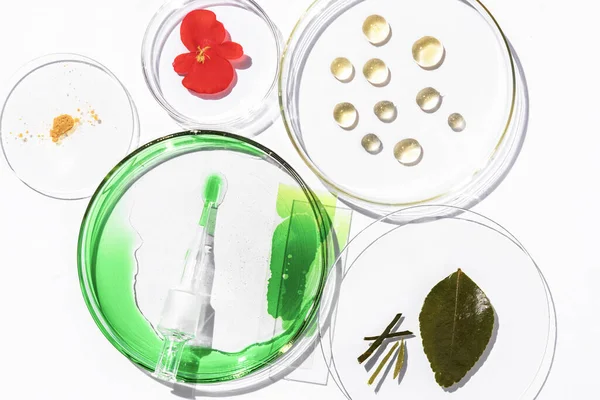 Glass Transparent Medical Flasks Different Sizes Laboratories Glass Rod Lie — 스톡 사진