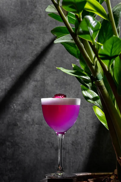 Lavendel Margarita Med Citrusskum Drinkarna Hälls Ett Glas Genomskinligt Vermunglas — Stockfoto