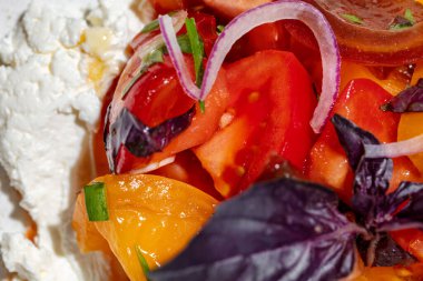 Domatesli krema. Kırmızı ve sarı domatesli tuzlu süzme peynir, kırmızı soğan, kırmızı fesleğen yaprağı ve zeytinyağı. Yemekler yuvarlak, seramik tabakta. Plaka hafif bir kumaş zemin üzerinde duruyor..