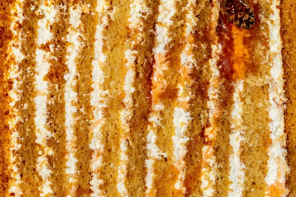 Honey Cake Triangular Piece Layer Cake Medovik Cone Jam Small — Fotografia de Stock