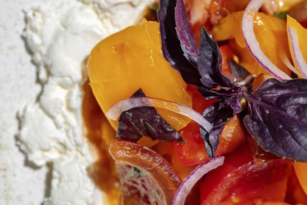 Curd Tomatoes Salted Cottage Cheese Red Yellow Tomatoes Red Onions — 图库照片