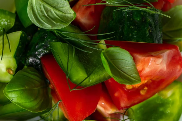 Vegetable Salad Paprika Cucumber Tomato Lettuce Food Lies Light Ceramic — 图库照片