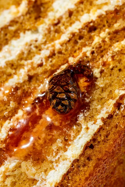 Honey cake. Triangular piece of layer cake Medovik, with cone jam and small cones. The piece lies on a light, round, ceramic plate. Jam is smeared on a plate and cones lie. The plate stands on a light fabric background.