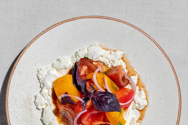 Curd Tomatoes Salted Cottage Cheese Red Yellow Tomatoes Red Onions — 图库照片