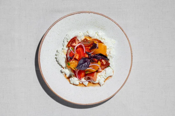 Curd Tomatoes Salted Cottage Cheese Red Yellow Tomatoes Red Onions — Fotografia de Stock