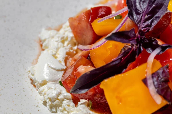 Curd Tomatoes Salted Cottage Cheese Red Yellow Tomatoes Red Onions — Stock Fotó