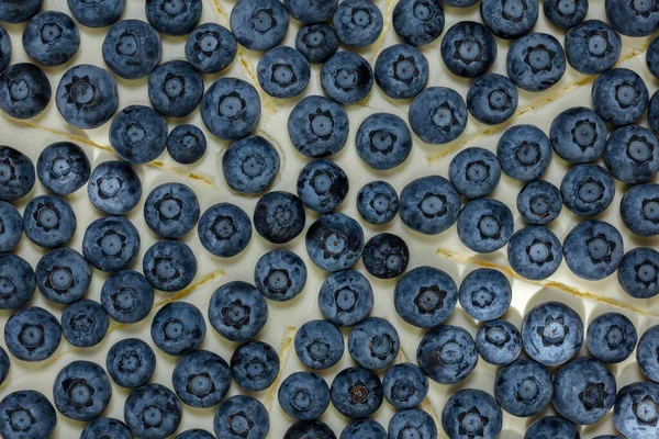 Shortcrust pastry pie with creamy vanilla cream and blueberries. The pie stands on a light stand on a gray background with bronze inserts.