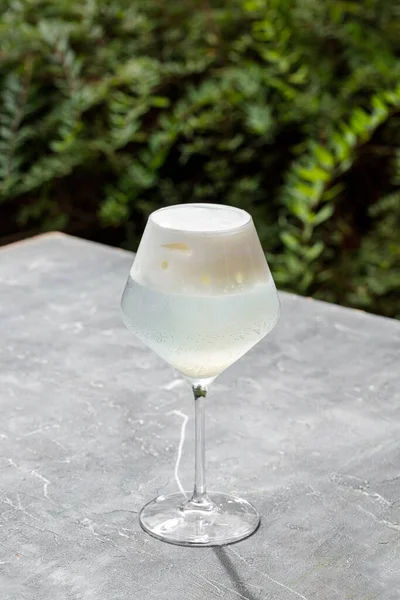 Gin Tonic Cocktail Tall Glass Ice Citrus Foam Top Glass — Stockfoto