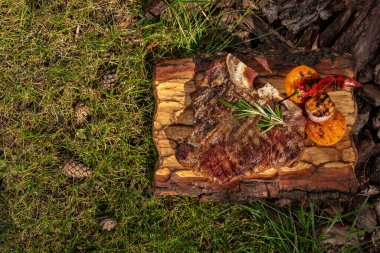 T-bone steak with baked tomato and chili vegetables on a wooden board. The board lies on the tree bark and the lawn.