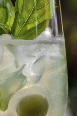 Basil spritz cocktail with basil leaves, olives and cherry tomato. A cocktail in a tall glass stands on a table around green plants.