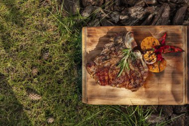T-bone steak with baked tomato and chili vegetables on a wooden board. The board lies on the tree bark and the lawn.