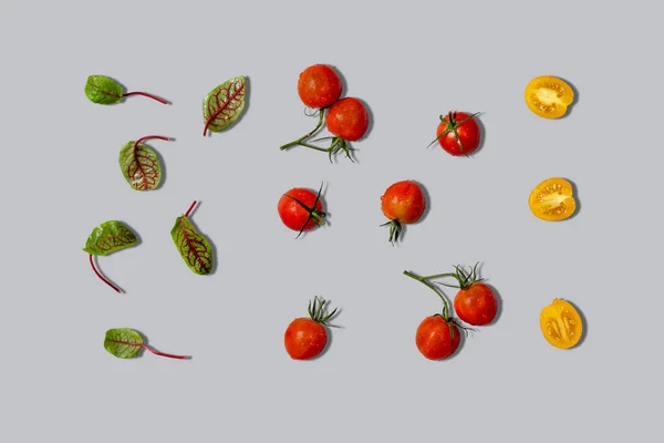 Feuilles Laitue Brins Tomates Cerises Rouges Jaunes Sur Fond Gris — Photo