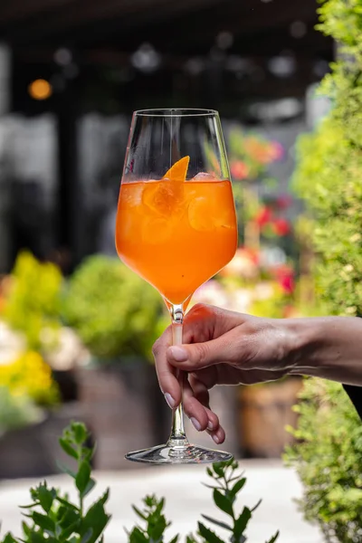 Classic Aperol Spritz cocktail. The cocktail is poured into a glass on a high stem and is held by a woman's hand. Green plants can be seen in the background.