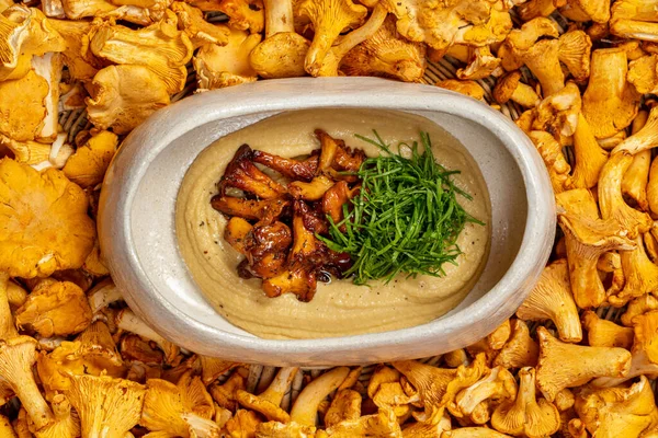 Hummus Fried Chanterelle Mushrooms Chopped Greens Food Light Ceramic Dishes — стоковое фото