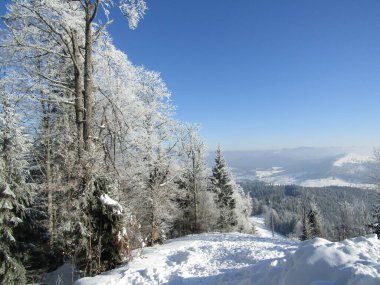 Karla kaplı ormanı olan güzel bir dağ manzarası. Dağlarda kış manzarası.