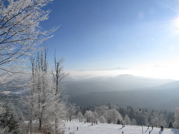 Karlı dağlarda dağ kayağı. Güzel kar ve ağaçlar.