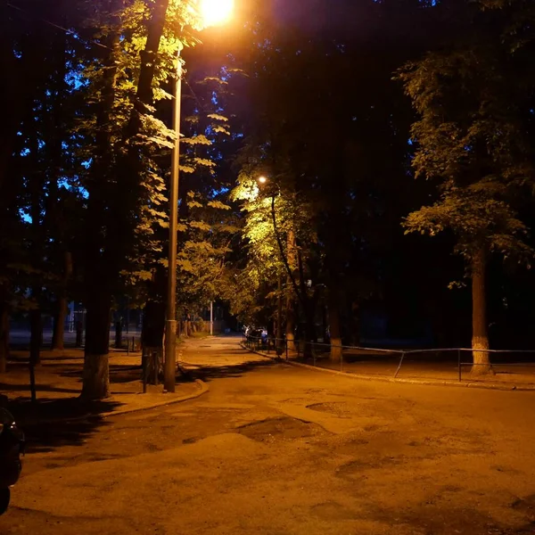 Beautiful Night View Park — Fotografia de Stock