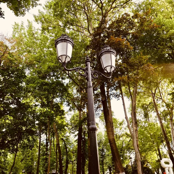 old lamp in the park