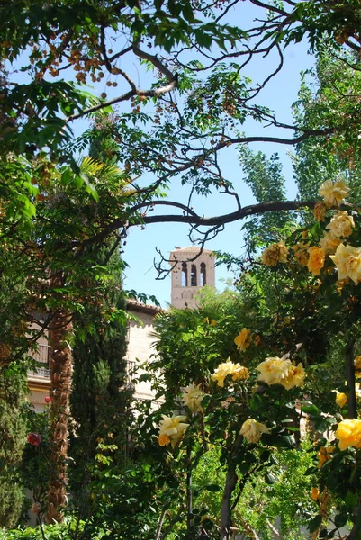 Bahçedeki eski villa