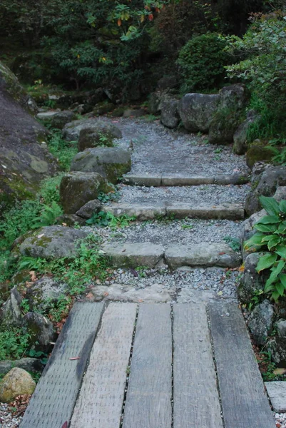 Japonya 'daki parkta güzel bir patika.