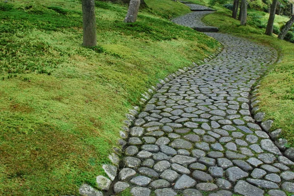 Ormanda yeşil yosunlu güzel bir patika manzarası.