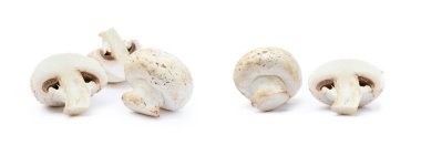 Beyaz arka planda izole edilmiş taze şampiyon mantarları