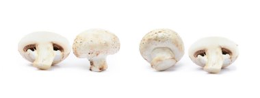 Beyaz arka planda izole edilmiş taze şampiyon mantarları