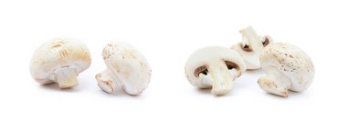 Beyaz arka planda izole edilmiş taze şampiyon mantarları