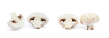 Beyaz arka planda izole edilmiş taze şampiyon mantarları