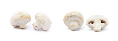 Beyaz arka planda izole edilmiş taze şampiyon mantarları