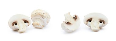 Beyaz arka planda izole edilmiş taze şampiyon mantarları