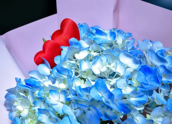 Valentines Day Hydrangea Hearts — Stock Photo, Image