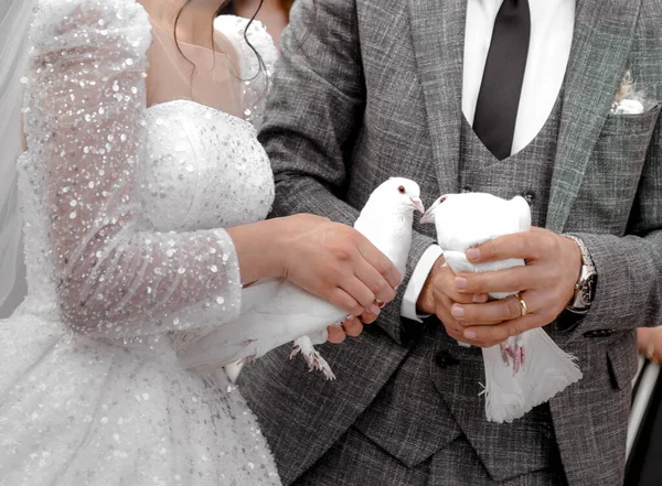 Palomas Manos Los Recién Casados Lindo Concepto Boda Paloma Blanca — Foto de Stock