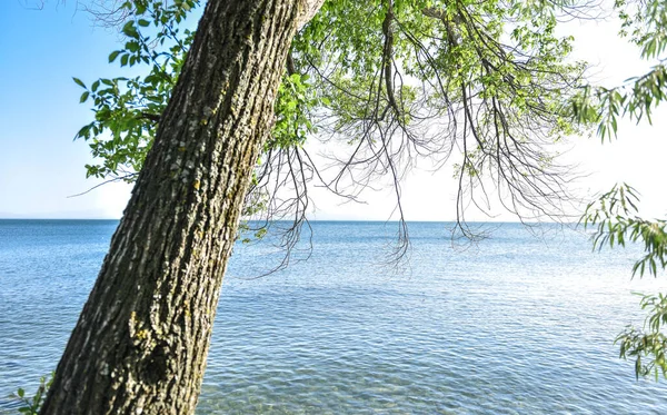 Ermenistan 'da Sevan Gölü .