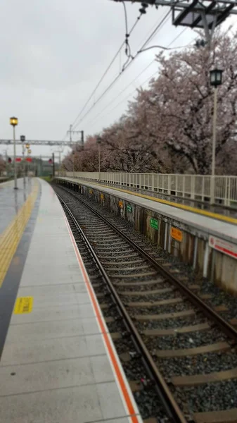 Şehirdeki Tren Istasyonu — Stok fotoğraf