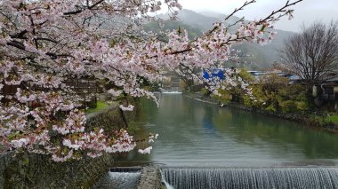 Parkın güzel manzarası