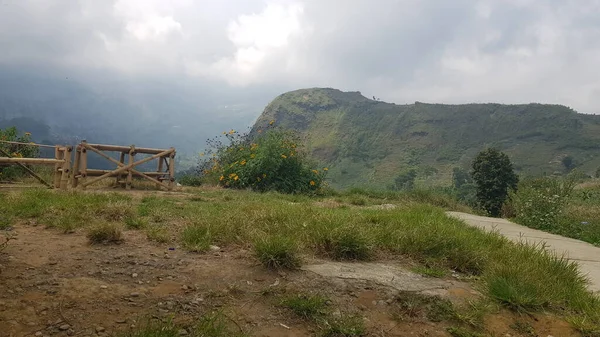 Dağları Ağaçları Olan Güzel Bir Manzara — Stok fotoğraf